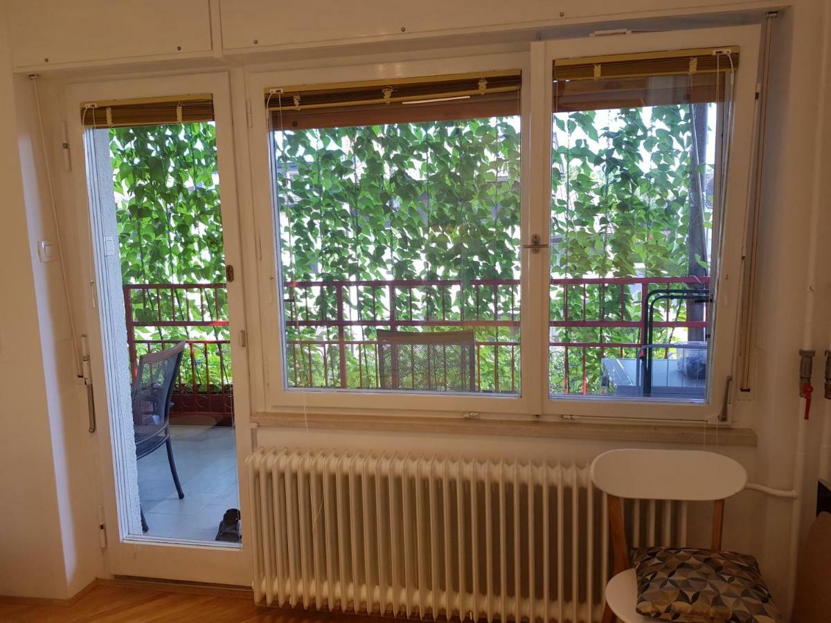 Ljubljana's Terrace