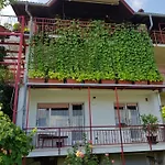 Ljubljana\'S Terrace