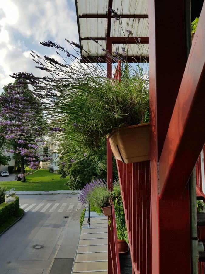 Ljubljana's Terrace Ljubljana